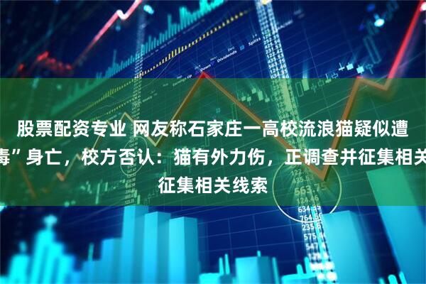 股票配资专业 网友称石家庄一高校流浪猫疑似遭“投毒”身亡，校方否认：猫有外力伤，正调查并征集相关线索
