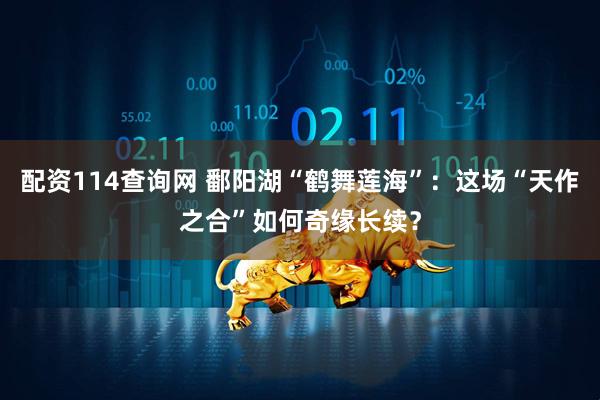 配资114查询网 鄱阳湖“鹤舞莲海”：这场“天作之合”如何奇缘长续？