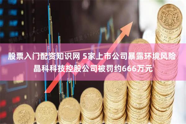 股票入门配资知识网 5家上市公司暴露环境风险 晶科科技控股公司被罚约666万元